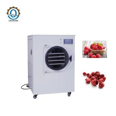 Small Mini Home Food Fruit Laboratory Vacuum Freeze Dryer Lyophilizer Price