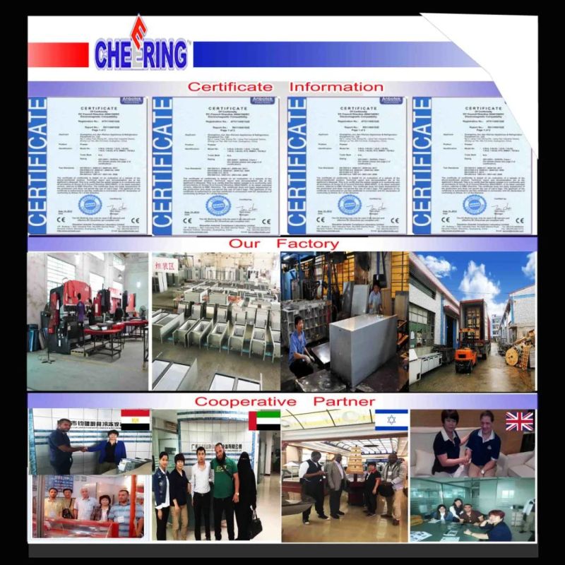 Professional Manufacturer Commercial Gas Electric Deep Fryer Chip Chicken Fryer Fast Food Equipment