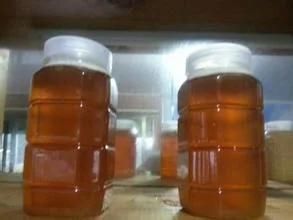 Small Electric Honey Processing Machine