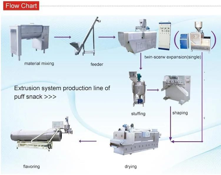 Twin Screw Extruder (Cracker/Extrusion Machine/Puff Snack Production)