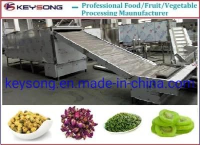 Temperature and Speed Adjustable Continuous Mesh Belt Dryer Food Machine