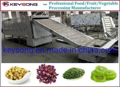 Temperature and Speed Adjustable Continuous Mesh Belt Dryer Food Machine