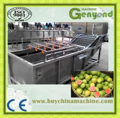 Bubble Cleaning Type Guava Washing Machines