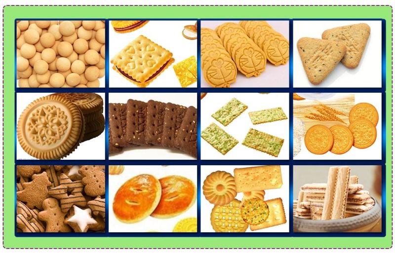 Stainless Steel High Quality Biscuit Cookies Production Line Vegetable Biscuit Making Machine Small Kids Biscuit Machine