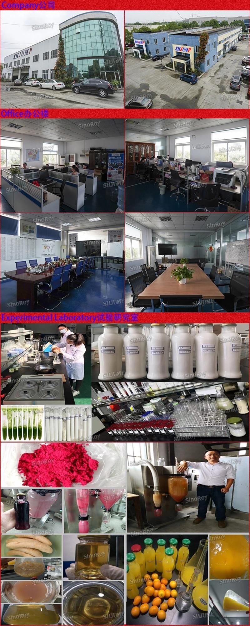 Lycium Chinensis Puree Pulp Production Line