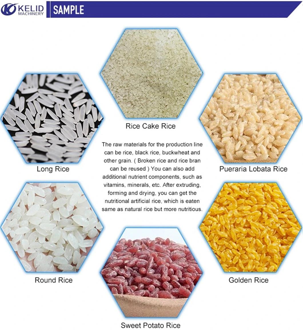 Chinese Hot Selling Enriched Rice Frk Line Fortified Rice Making Machinery