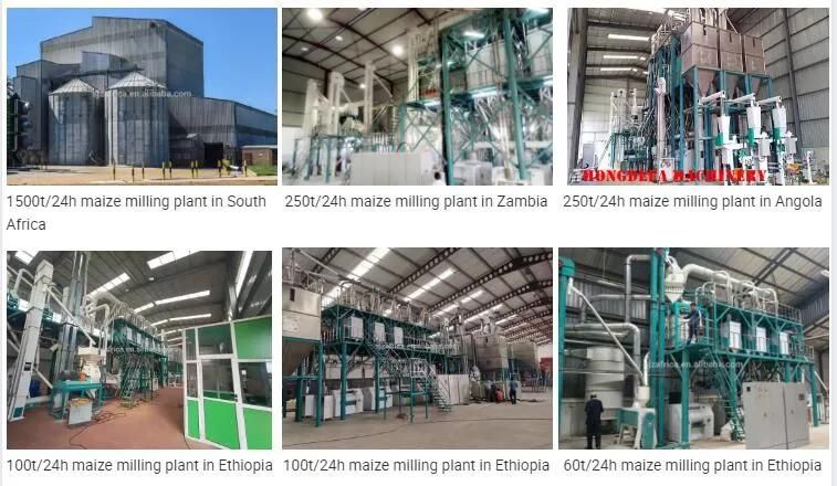 Automatic 20t Maize Flour Milling Project 30t Maize Flour Milling Project Price for Africa