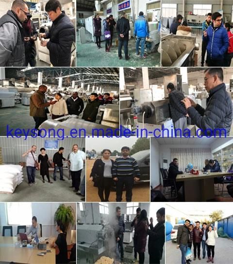 Automatic Continuous Mesh Belt Drying Machinery for Food Fruits Vegetables