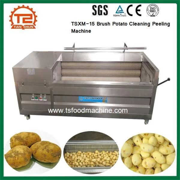 Tsxm-15 Industrial Vegetable Washing Washer Equipment Brush Potato Cleaning Peeling Machine