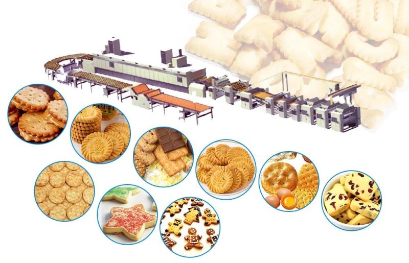 304 Stainless Steel Complete Biscuit Production Line for Walnut Cake Biscuits