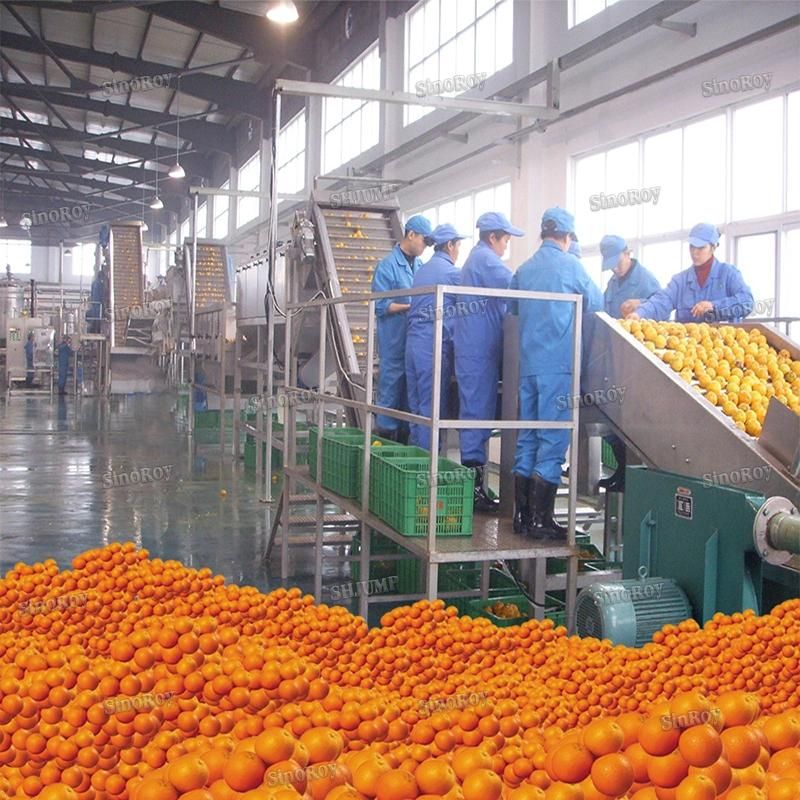30 Tons Diversity Fruit Production Lines Machines for Apricot Paste, Citrus Grape NFC Juice, Avocado Puree Jam Sauce Ketchup Aseptic Bag in Box Package