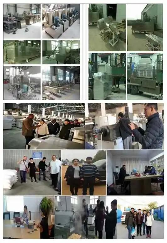 Automatic Artificial Rice Processing Line Nutritional Rice Production Line Puffed Rice Making Machine