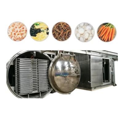 100m2 Vacuum Freeze Dryer Lyophilizer Fruit Drying Machine for Food Processing Industry