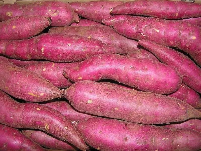 Brush Roller Type Washer Purple Sweet Potato Washing Machine