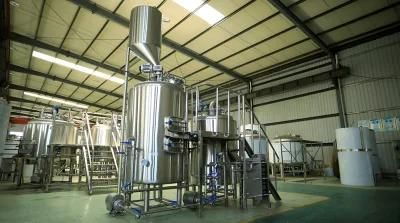 Cassman 500L Steam Heating 2 Vessels Microbrewery Beer Equipment for Sale