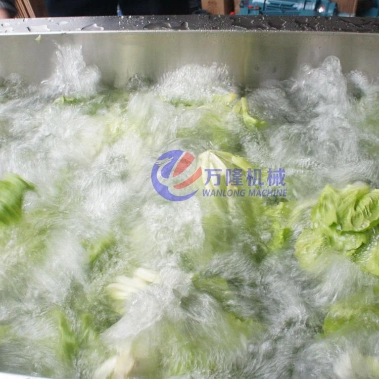Leaf Vegetable Ozone Bubble Washing Machine Cabbage Tomato Lettuce Ozone Bubble Washer