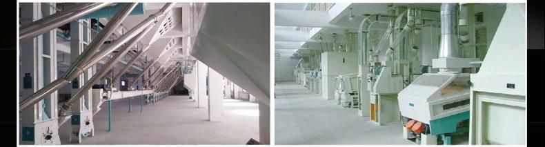Mjxt Thickness Length Thin Grader Separator Sorter Machine for Sale Price