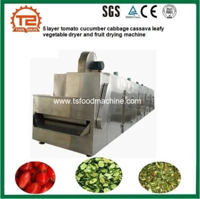5 Layer Tomato Cucumber Cabbage Cassava Leafy Vegetable Dryer and Fruit Drying Machine