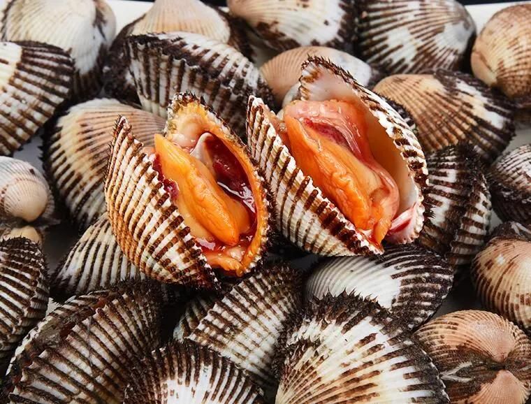 Food Cleaning Brush Washing Machine Shellfish Washing Machine