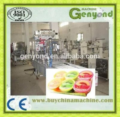 Complete Fruit Jelly Production Line