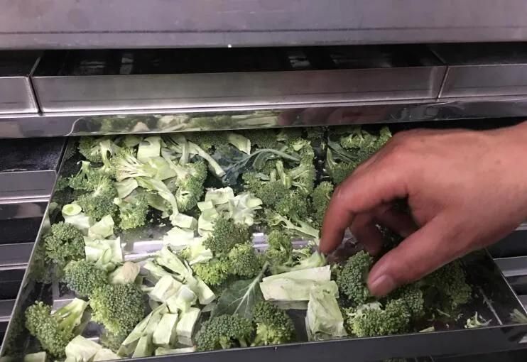 Freeze Dry Vegetables Freezing Drying Machine Vegetable Vacuum Freeze Dryer