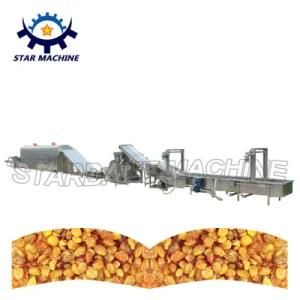 Raisin Wash Packaging Machine Production Line