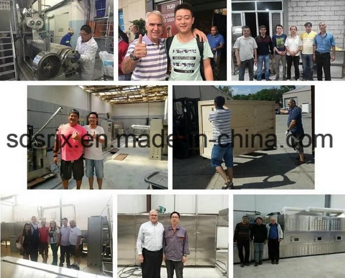 Extruded Soybean Cereal Snack Processing Machinery Extruder Machine Price
