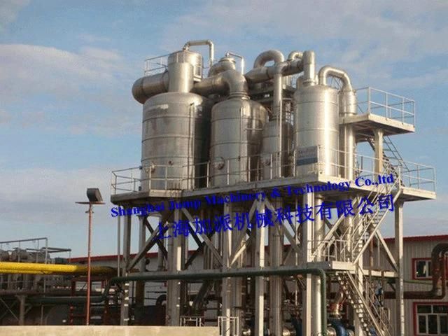 5t/Hr Mulberry Enzyme Processing Production Line