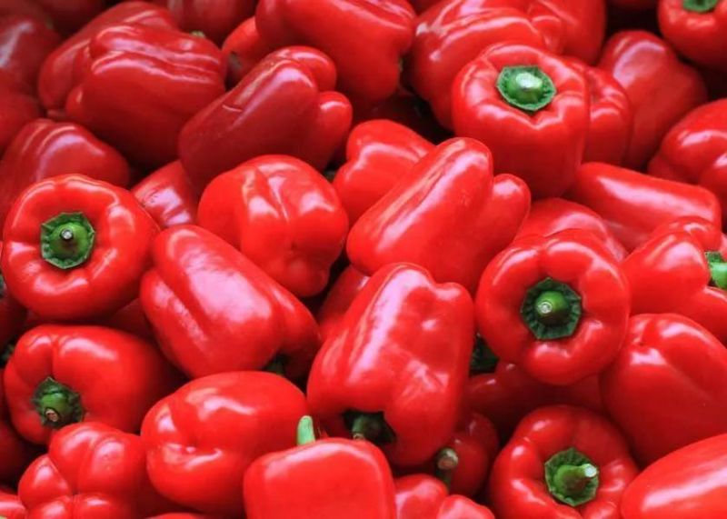 Vegetable Washing Machines Line Capsicum Washing and Drying Machine