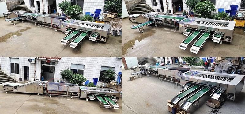 3-7 Grades Automatic Fruit&Vegetable Sorting Grading Machine Roller Type