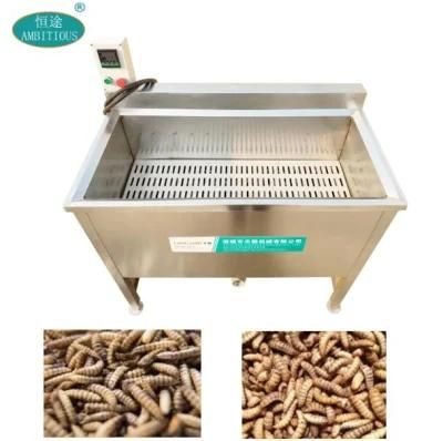Industrial Insect and Larvae Blanching Machine