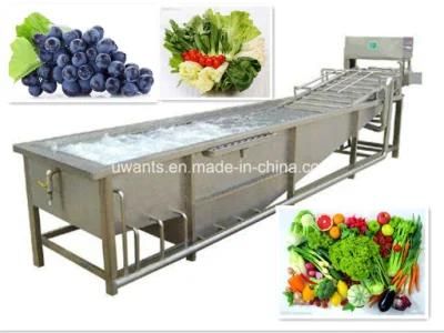 Industrial SUS 304 Fruit and Vegetable Washing Equipment