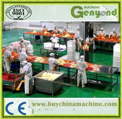 Hot Sale Kimchi Production Line