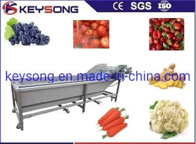 Vegetable Washing Machine Manufacturer Fruit Cleaning Machinery