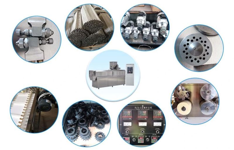 Automatic Fried Salads Machine/Energy-Saving Bugles Processing Line with Competitive Price