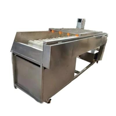 Vegetable Fruit Peeling Washing Machine with Automatic Conveyor Belt