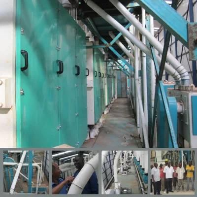 The Price of 200t Designed Wheat Flour Milling Machines Easy Operation with Advanced ...