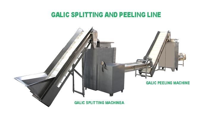 Garlic Splitting and Peeling Production Line Garlic Stripper