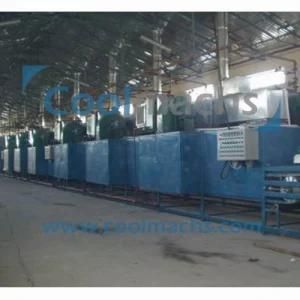 Vegetable and Fruit Drying Machine for Sale/Dryer Line