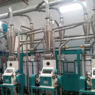 Popular New Start 50t/24h Maize Milling Machinery Line