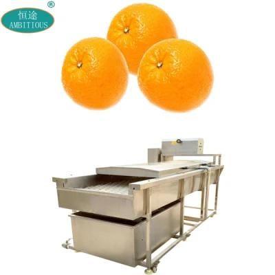 Fruits Brush Machinery Orange Brushed Washing Machine