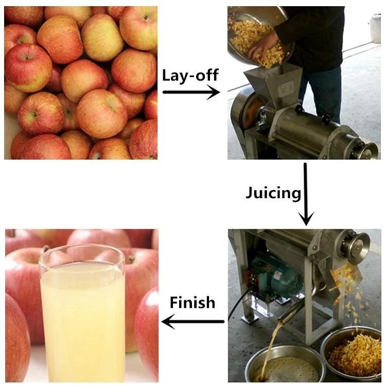 Industrial Fruit Apple Banana Lemon Juicer 1500kg/H Cold Press Juicer with Fast Delivery
