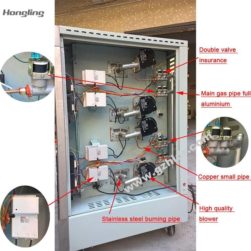 LPG Micro-Computer Panel Control 2-Deck 4-Tray Gas Bakery Oven for Sale