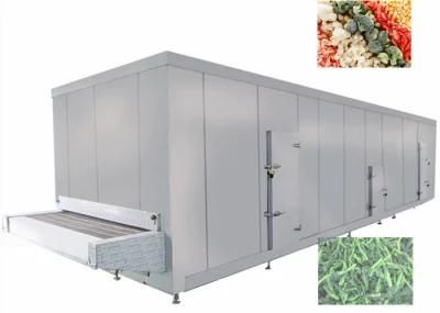 China Industrial Vegetable Fruit Quick Freezing Machine