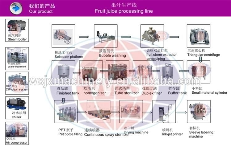 Automatic Fruit Vegetable Juicer Food Processor for Juice Production Line for Sell