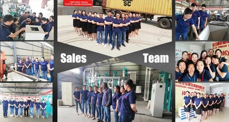 Hongdefa Top Quality Maize Flour Meal Grits Milling Machinery