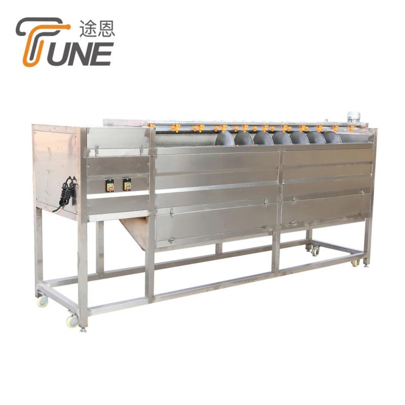 Commercial Fruit and Vegetable Cleaning Bubble Peeling Brush Carrot Cassava Apple Washing Machine
