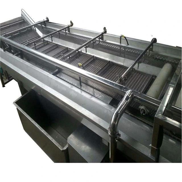 Palm Date Washing Process Machine