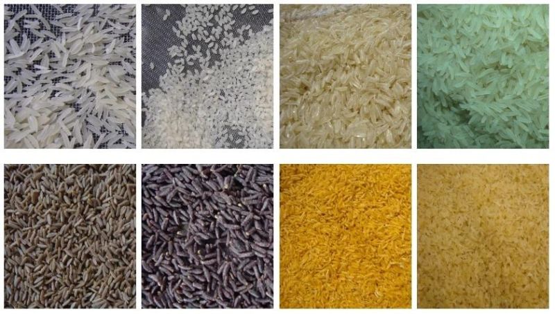 Nutrition Rice Making Machine