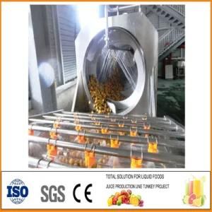 Pineapple Beverage Production Line SS304 Apple Juice Semi Automatic Hot Water CIP Washing ...
